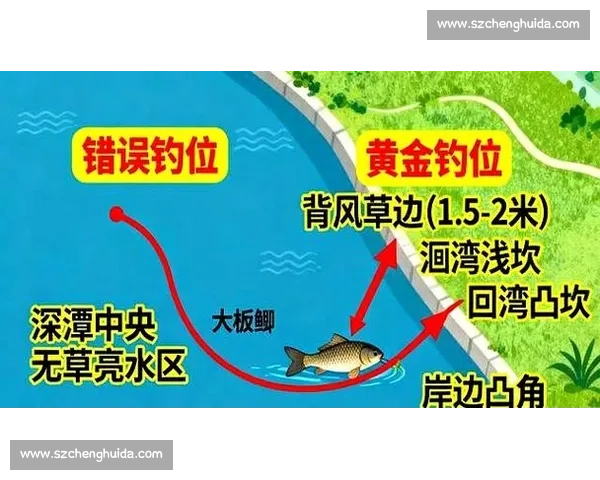 全国钓鱼比赛大全及技巧指南 打造顶尖钓鱼手必备宝典