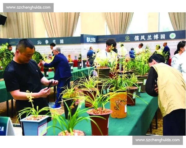 兰花爱好者齐聚一堂，共享盛大兰花比赛与文化交流盛宴