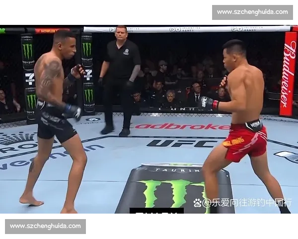 李景亮2017年UFC精彩对决全程回顾与精彩时刻解析