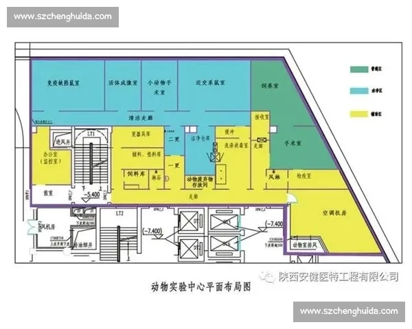 朗读比赛规则详细解读与参赛注意事项全方位指南