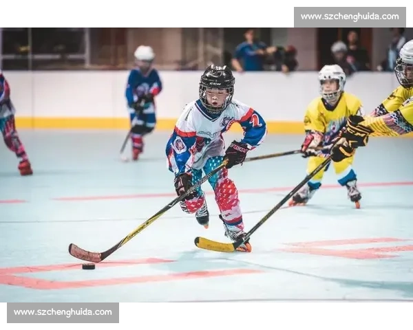 构建完善的体育职业体系推动运动员职业发展与竞技水平提升的路径探析